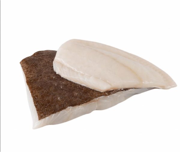 Turbot fillet For Sale