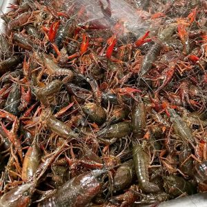 Buy Crawfish online