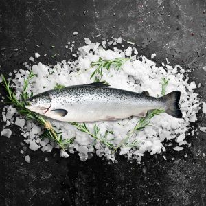 Frozen Atlantic Salmon For Sale