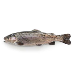 Frozen Trout For Sale