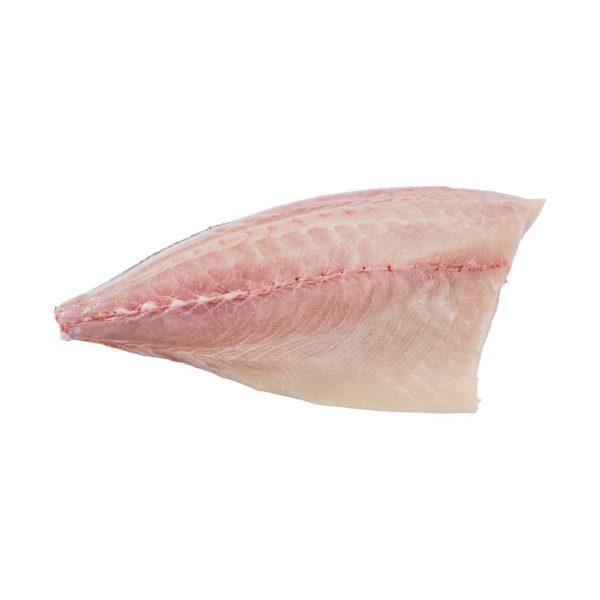 Fresh Yellowtail Kingfish fillet