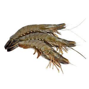 Buy Frozen Prawns