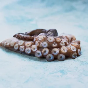 Buy Raw Octopus Tentacles