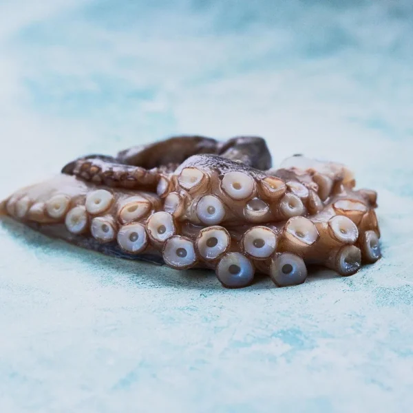 Buy Raw Octopus Tentacles