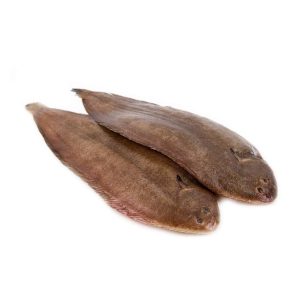 Buy Dover Sole Online