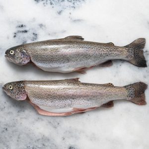 Buy Frozen Trout