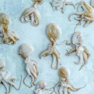 Whole Baby Octopus