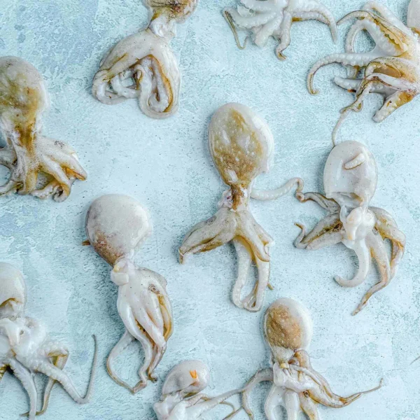 Whole Baby Octopus