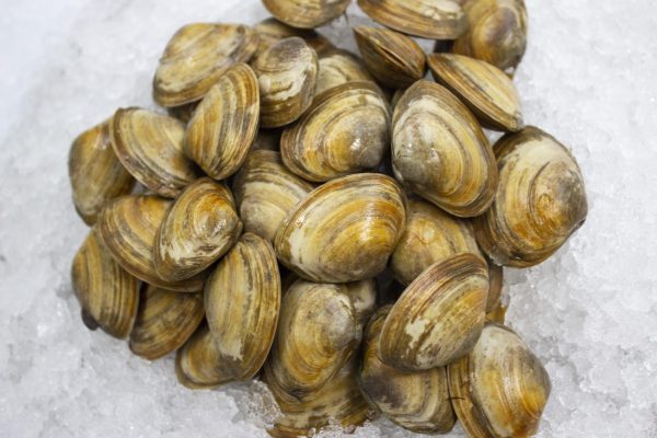 Buy Clams Online