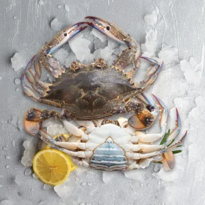 Buy Fresh Frozen Crab