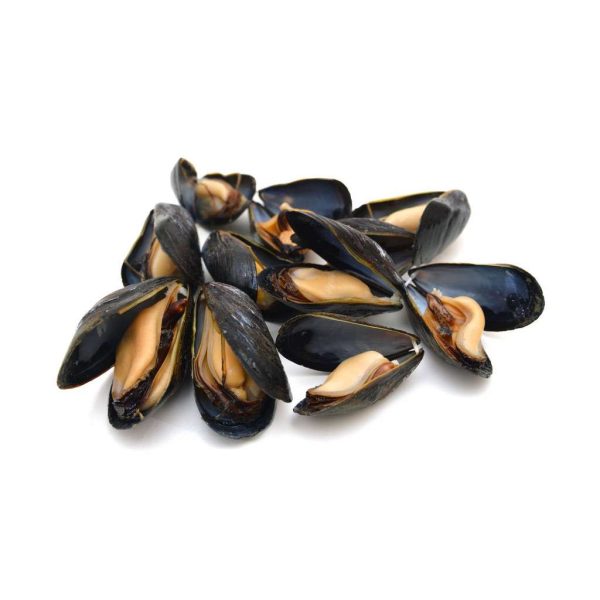 Blue Mussels for sale